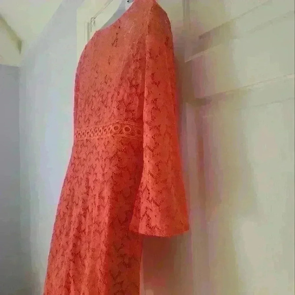 Laundry by Shelli Segal Size 4 Orange Lace Overlay Dress - Picture 16 of 16